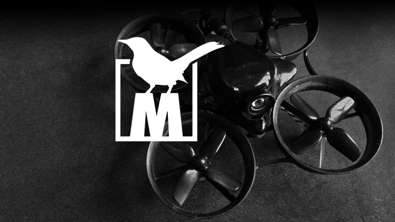Project Mockingbird, le site officiel