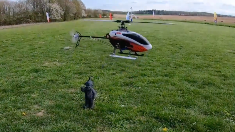 FMRC vidéo : Hélicoptère 250 CFX Blade