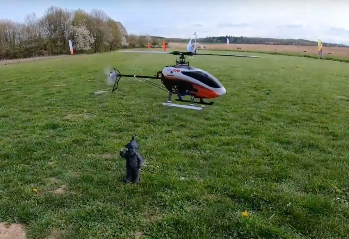 FMRC vidéo : Hélicoptère 250 CFX Blade