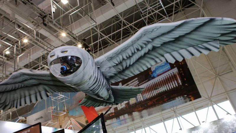 La police, les goélands et le drone russe hibou