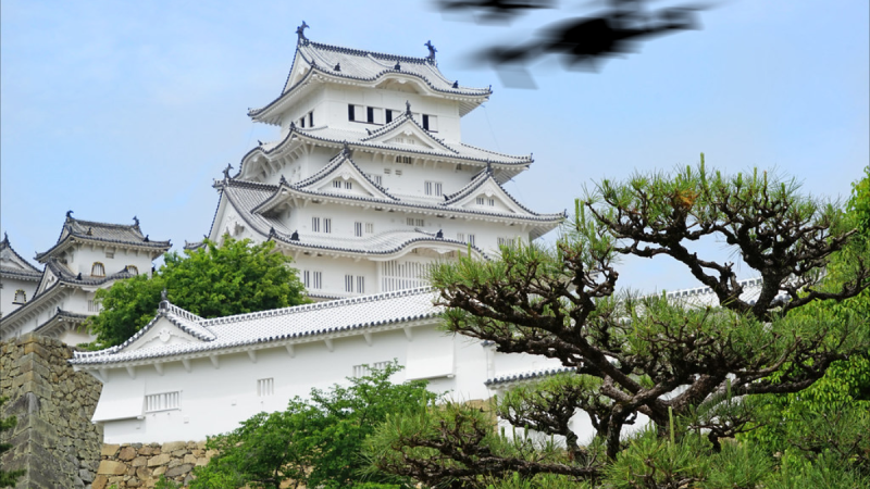 Japon : boire, diver ou piloter, il faudra choisir