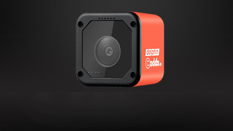 Caddx Dolphin