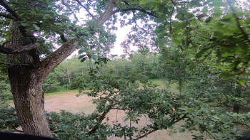 gopro7 cwhoop1