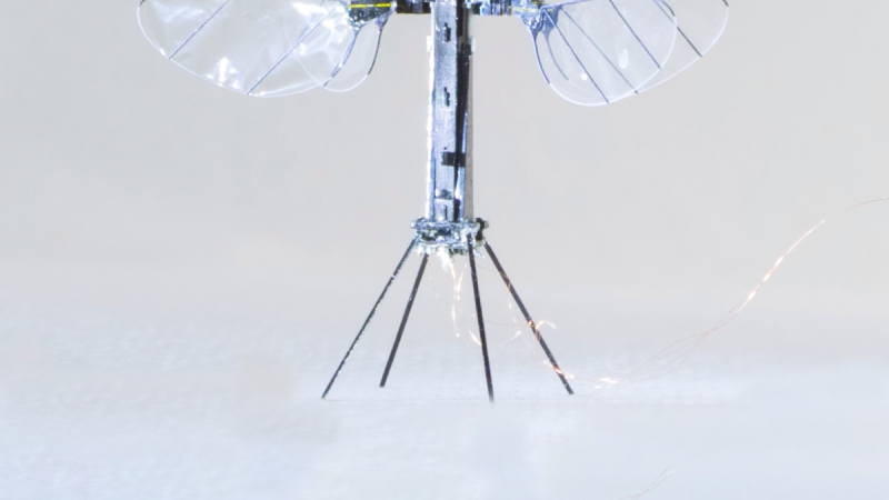 RoboBee X-Wing, à l’énergie solaire