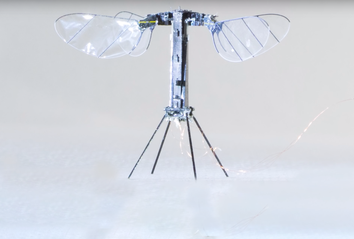 RoboBee X-Wing, à l’énergie solaire