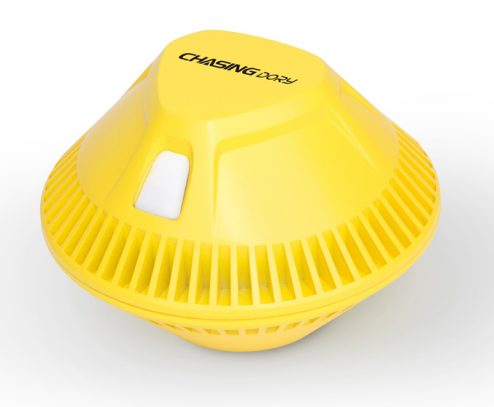 chasing dory 02