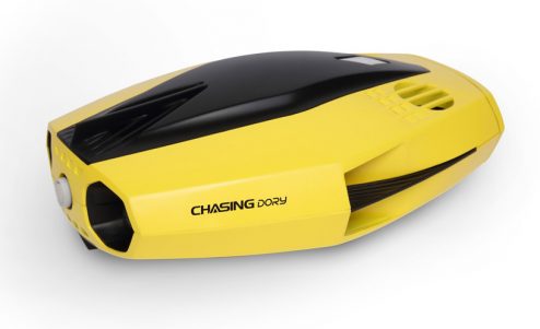 chasing dory 09