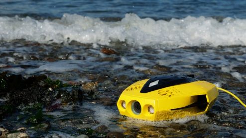 chasing dory 11