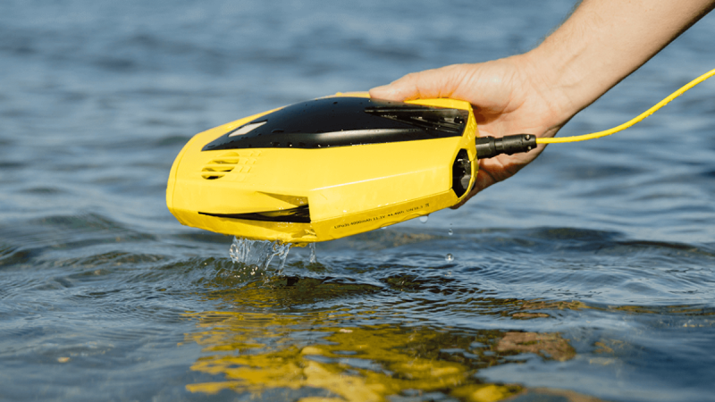 Chasing Innovation Dory