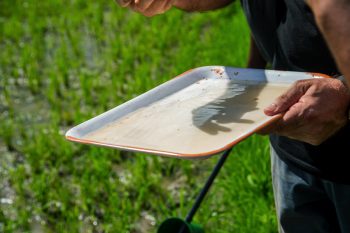 Counting mosquitoes 1200