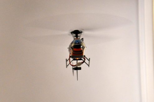 DSC 0396 1200