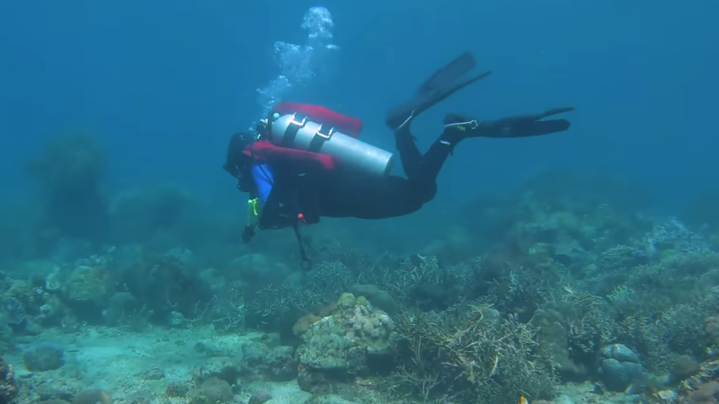 Sea-Thru : un algorithme pour corriger les couleurs sous l’eau