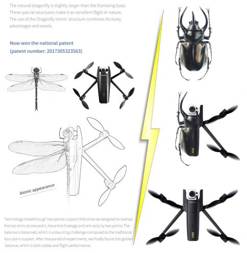 dragonfly kk13 07