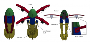 squid 02