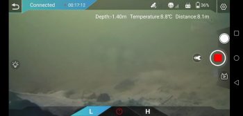 dory 01 1200