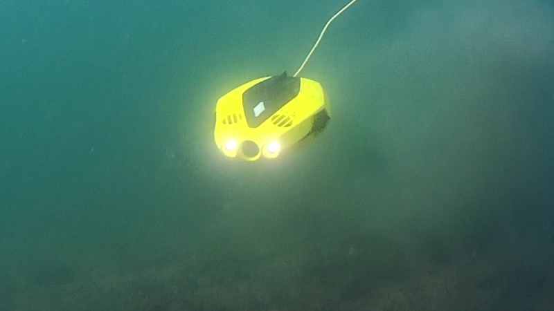 Chasing Innovation Dory, le test