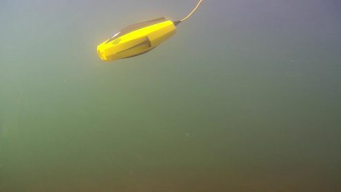 dory depuis gladiusmini 07 1200