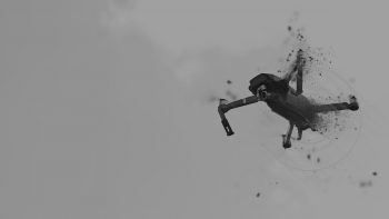 homepage main