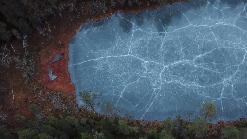 Joana Jinton : A magical sound made by the earth
