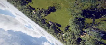 wings trailer1