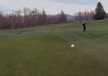 rosshasadrone