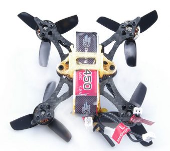 geelang wasp 85x 00001