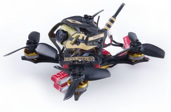 geelang wasp 85x 00007