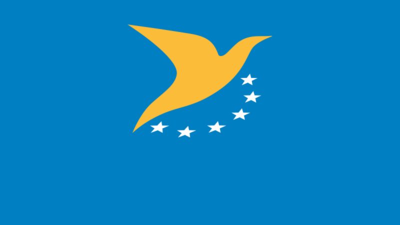 Europe : propositions et consultation pour la certification de drones légers