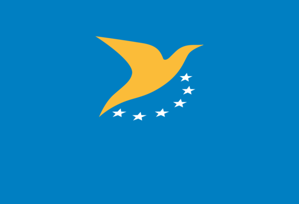 Europe : propositions et consultation pour la certification de drones légers