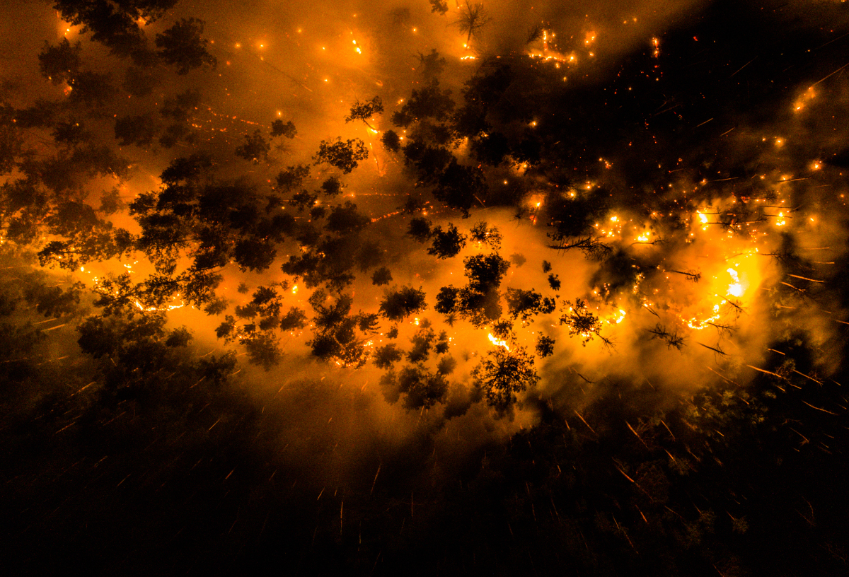 Les feux de forêts en Sibérie photographiés en drones par Greenpeace