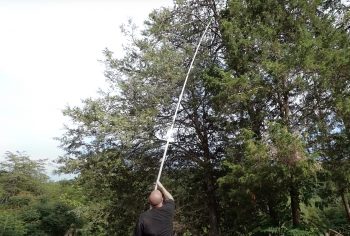 joshua bardwell arbre 01