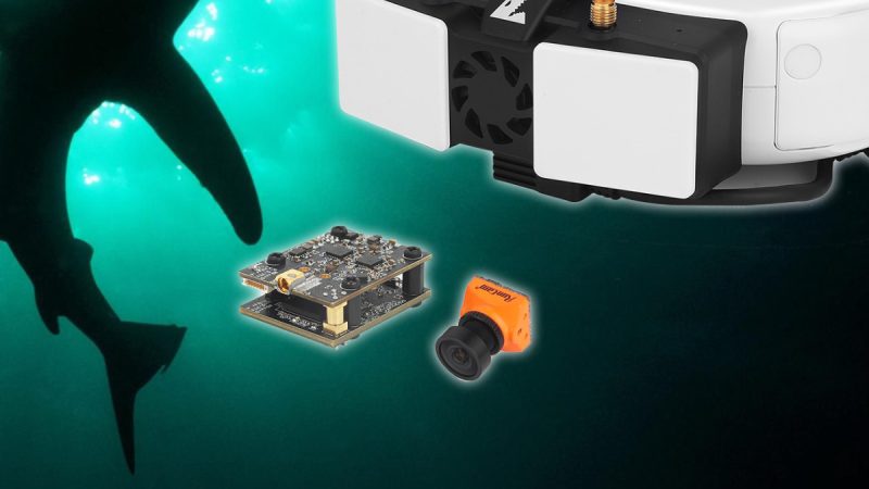 Fat Shark : l’état d’avancement de Shark Byte