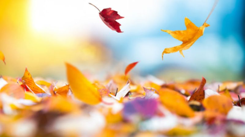 Bons plans : les promotions d’octobre 2020 chez Banggood