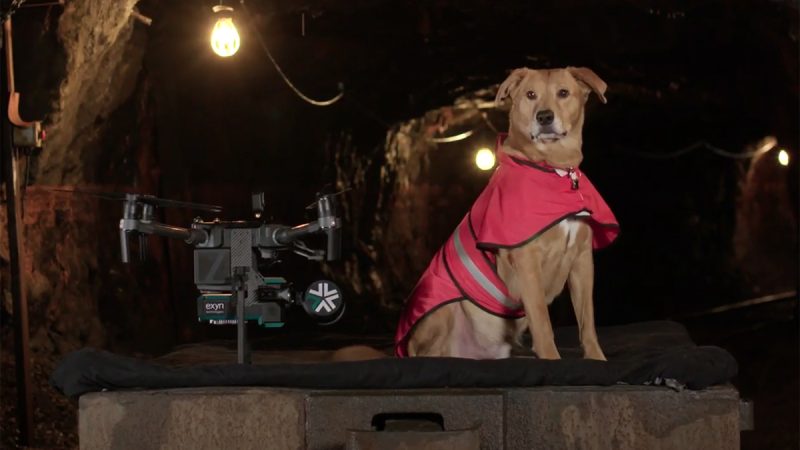 Exyn : Kody, le chien pilote de drones équipés de LiDAR