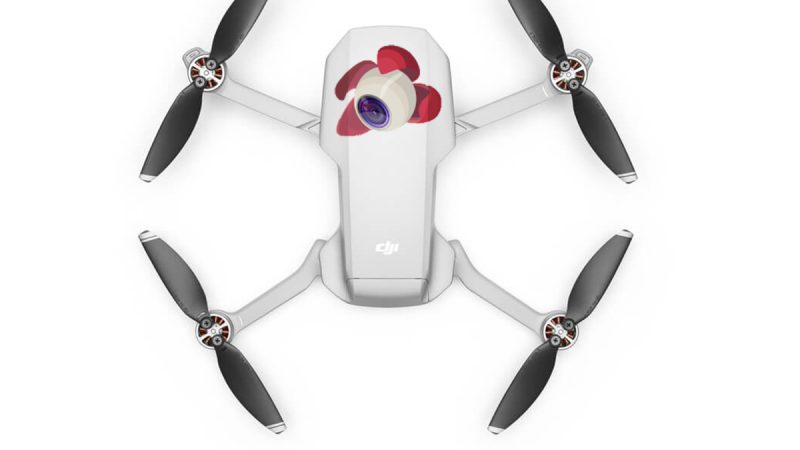 L’app Litchi est disponible pour DJI Mavic Mini