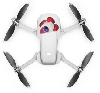 litchi mavic mini1