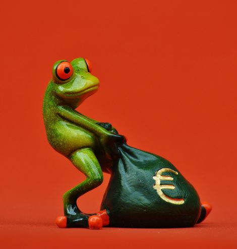 grenouille euros