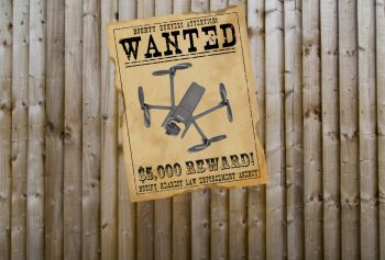 parrot bugbounty