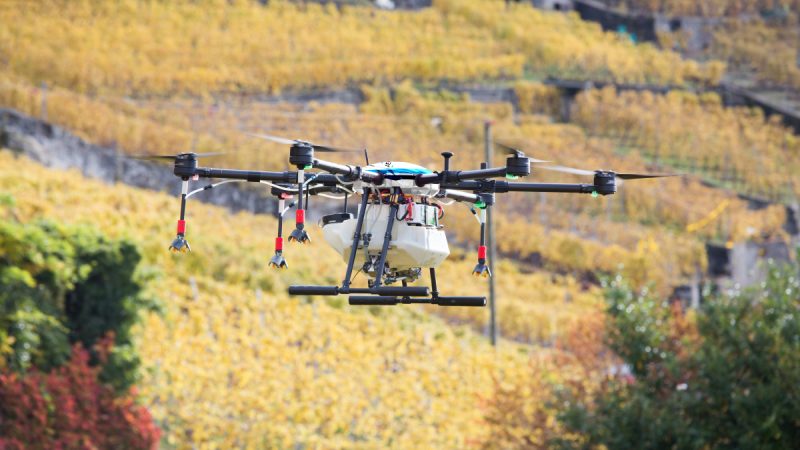 La viticulture va profiter du projet multi-robot SESAME