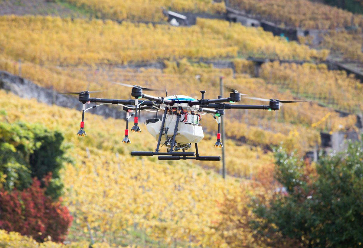 La viticulture va profiter du projet multi-robot SESAME
