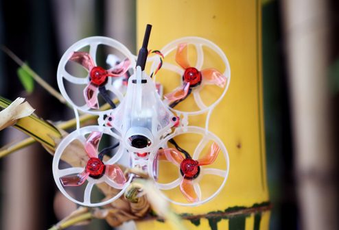 hglrc petrel 75whoop 00017