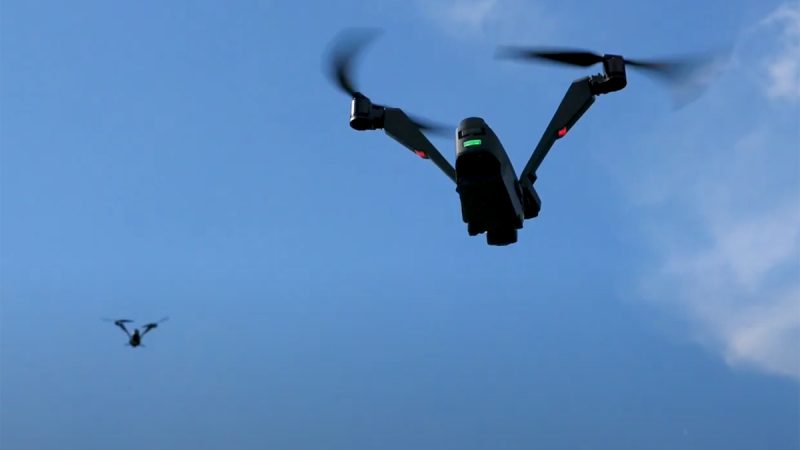 Zero Zero Robotics V-Coptr Falcon : un test par Sami Luo