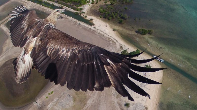 Le service d’images aériennes Dronestagram devrait bientôt fermer