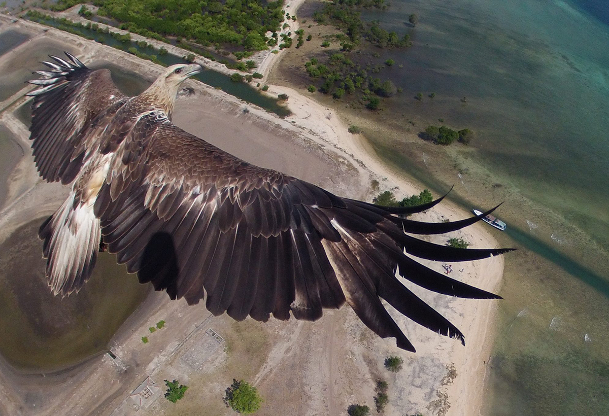 Le service d’images aériennes Dronestagram devrait bientôt fermer