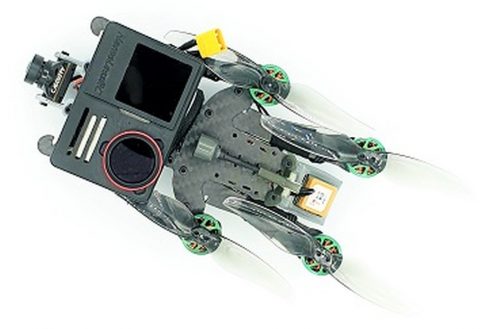 farins frames baby frog 4p numerique 5