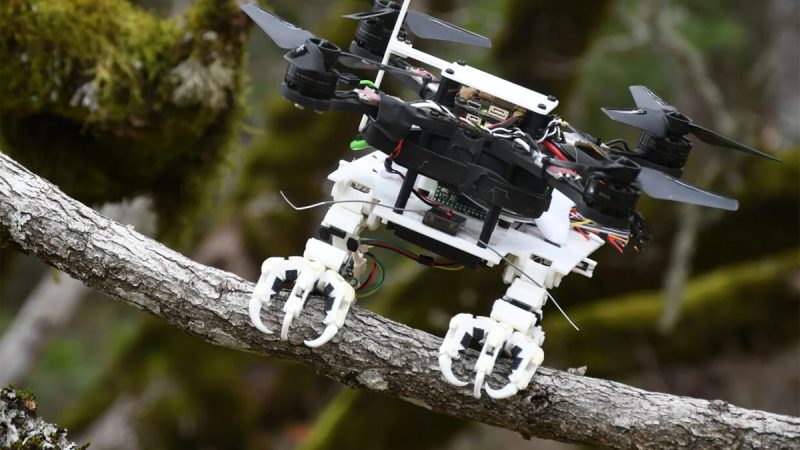 Université de Stanford : des serres inspirées des rapaces pour atterrir et attraper des objets en vol