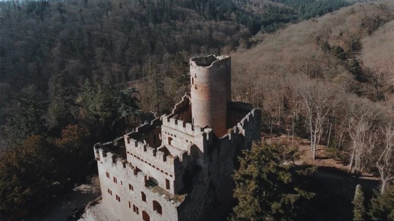 James Scott – CGE Concept : la Volerie des aigles – le château de Kintzheim