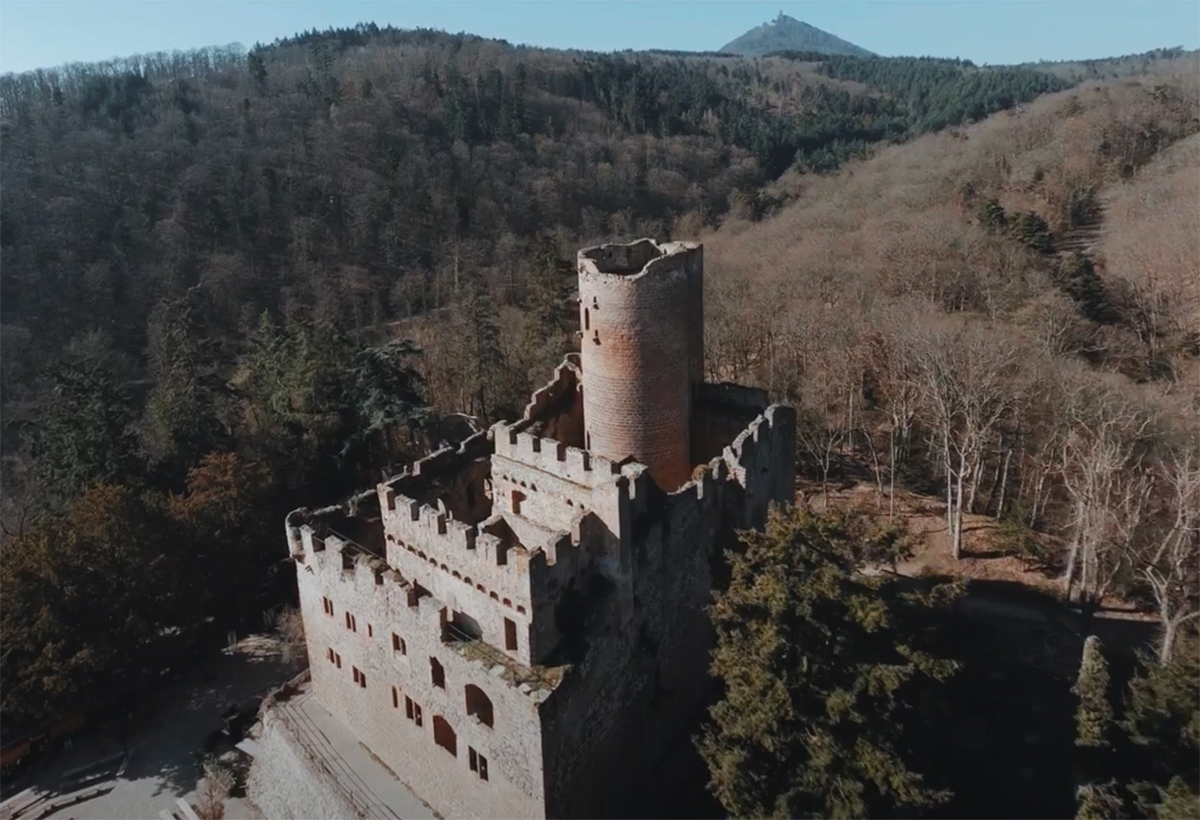 James Scott – CGE Concept : la Volerie des aigles – le château de Kintzheim