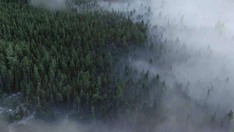 « I am » : les superbes séquences aériennes