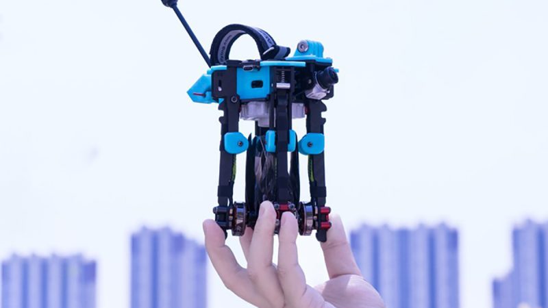 Axis Flying Kolas 6, un racer 6 pouces pliable